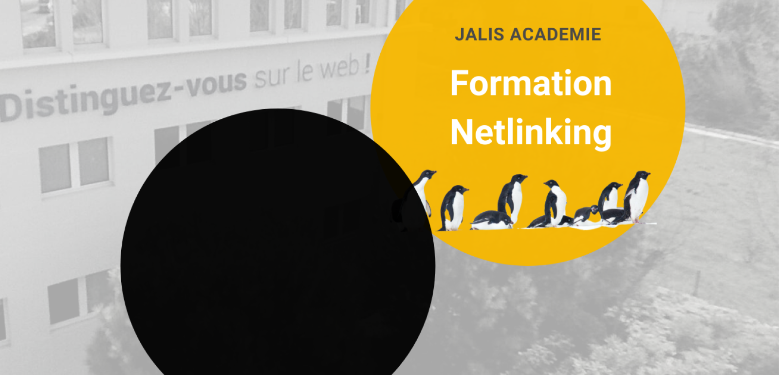 Formation SEO Netlinking pour devenir un expert en référencement naturel à Marseille