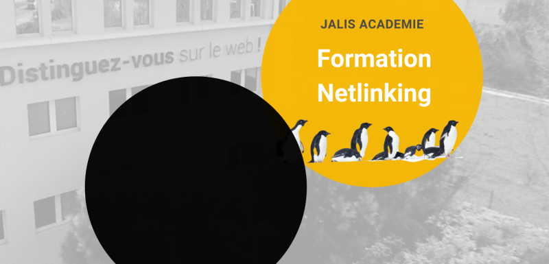 Formation SEO Netlinking pour devenir un expert en référencement naturel à Marseille