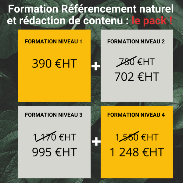 Pack formation SEO pas cher en visioconférence