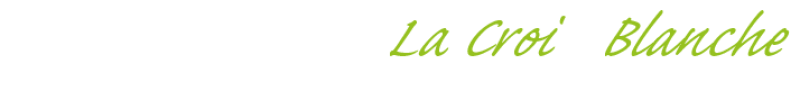 Témoignage La Croix Blanche